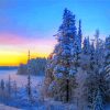 Sunset Over The Snowy Forest paint by numbers