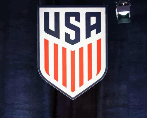 Uswnt Us Soccer Broll Logo paint by numbers