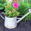 Watering Can Planter paint by numbers