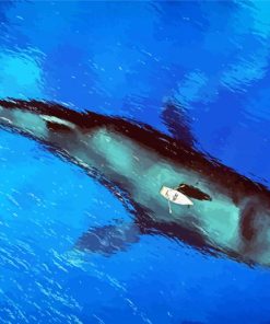Whale Underwater Small Boat Illustration paint by numbers