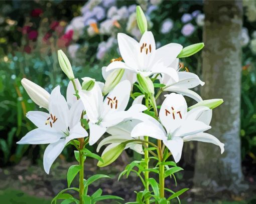 White Bright Lilies Flowers paint by numbers