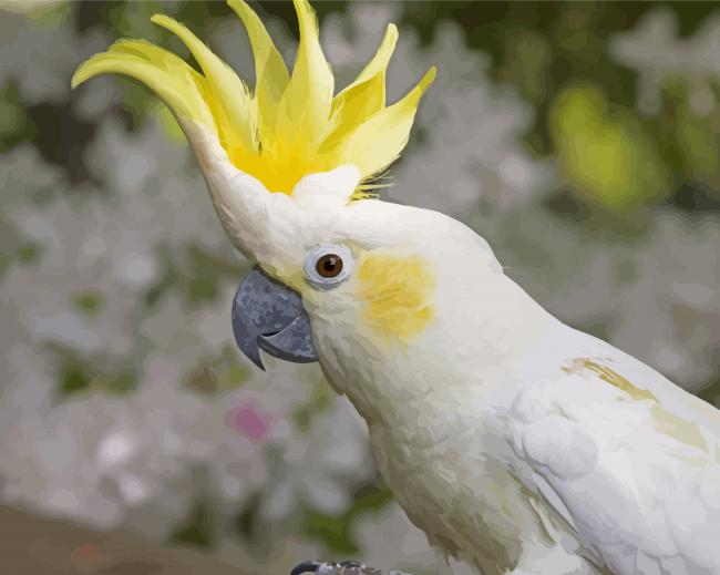 White Yellow Cockatoos paint by numbers