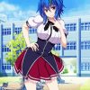 Xenovia High School Dxd paint by numbers