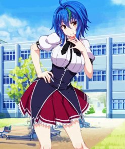 Xenovia High School Dxd paint by numbers