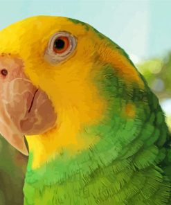 Yellow Head Amazon Parrot paint by numbers