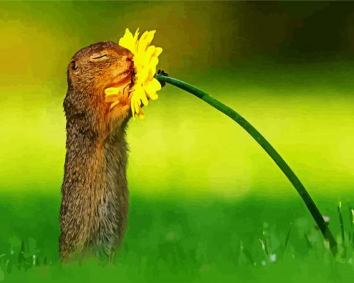 Adorable Squirrel Flower paint by number