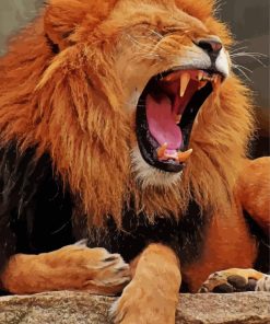 Lion Roaring paint by number