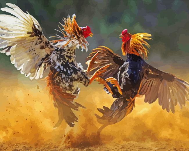 Aesthetic Roosters Fight paint by number