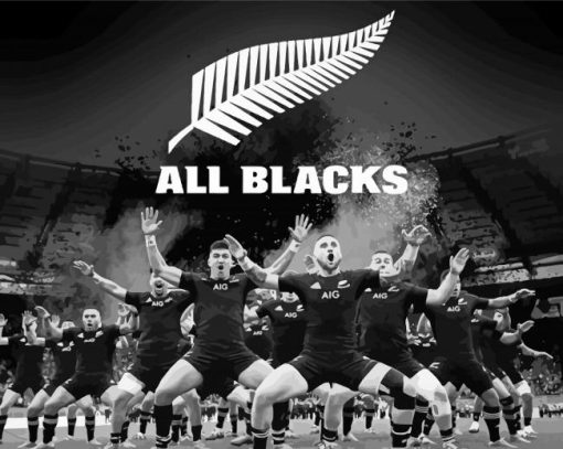 All Blacks Team paint by number