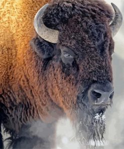 American Bison paint by number
