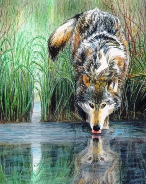 Animal Reflection Wolf paint by number