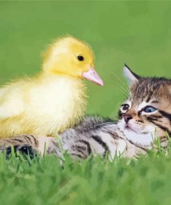 Baby Duck And Cat paint by number