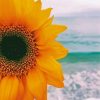 Beach Sunflower paint by number