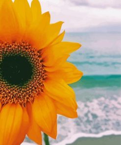 Beach Sunflower paint by number