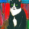 Bicolor Cat paint by number