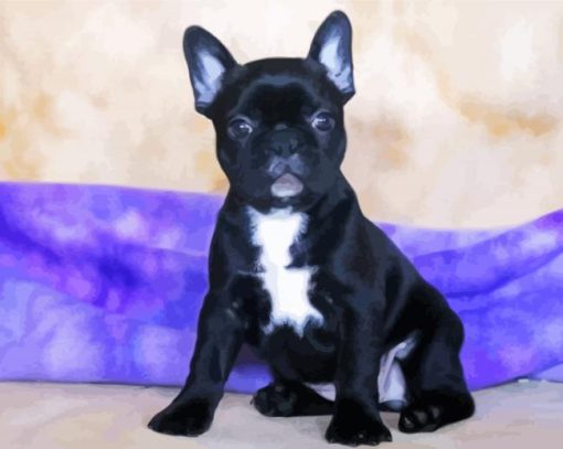 Black Frenchton Dog paint by number