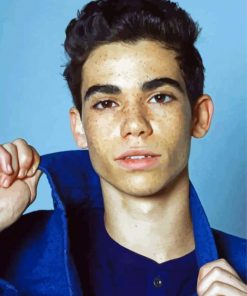 Cameron Boyce paint by number