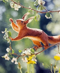 Cute Animal Squirrel paint by number