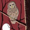 Cute Barred Owl paint by number