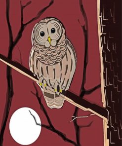 Cute Barred Owl paint by number