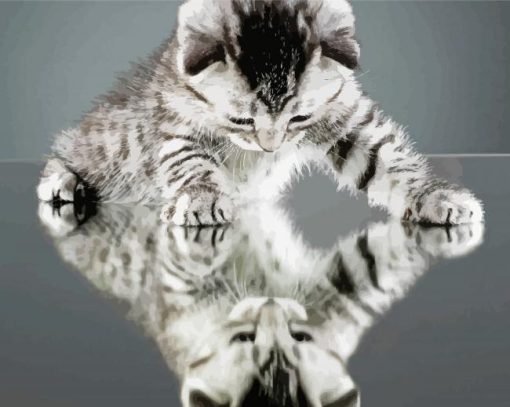 Cute Cat Reflection paint by number