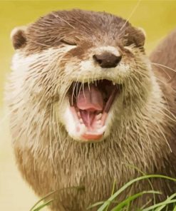 Cute Otter paint by number