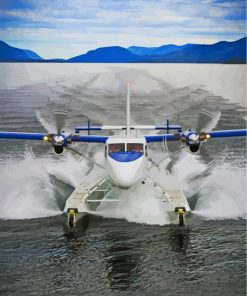 DHC 6 Twin Otter In Sea paint by number