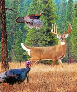 Deer And Turkey In Forest paint by number