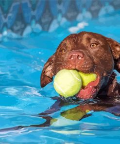 Dog In Pool paint by number