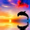 Dolphin At Sunset paint by number