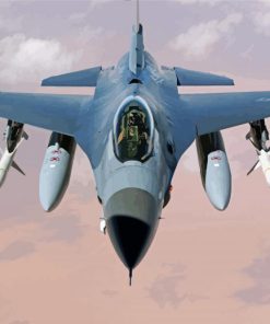 F16 Fighting Falcon paint by number