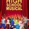 High School Musical Poster paint by number