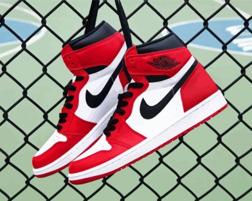 Jordan 1 Nike Sneakers paint by number