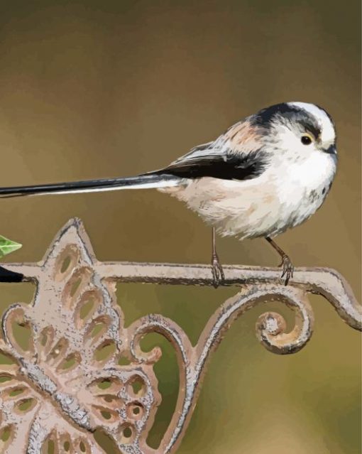 Long Tailed Tits Bird paint by number