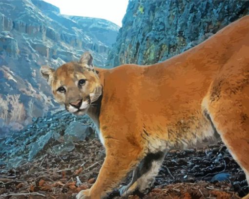 Mountain Lion Cougar paint by number