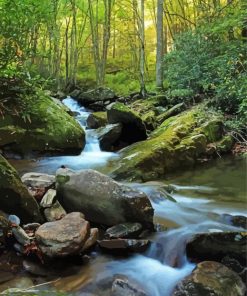 Mountain Stream Nature paint by number