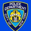 Nypd Logo paint by number