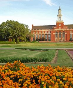Oklahoma State University Usa paint by number
