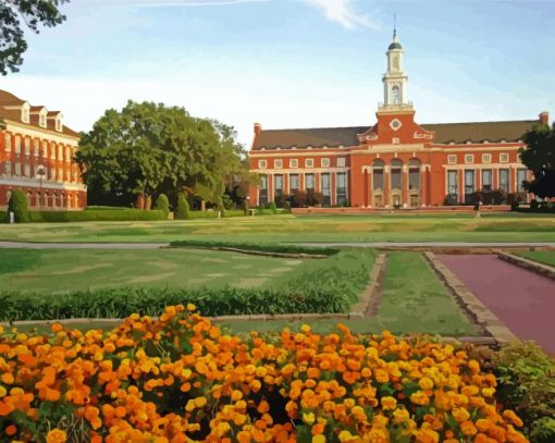 Oklahoma State University Usa paint by number