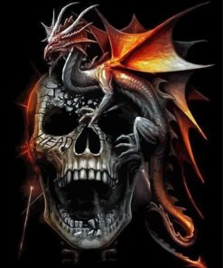 Skull And Dragon paint by number