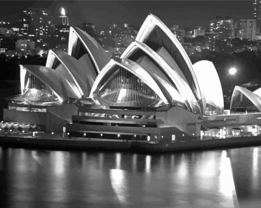 Sydney Harbour Black And White paint by number