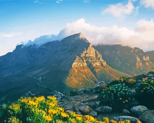 Table Mountain South Africa paint by number