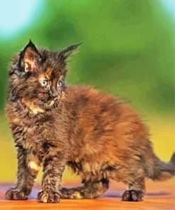 Tortoiseshell Kitty paint by number