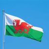Wales Flag Dragon paint by number