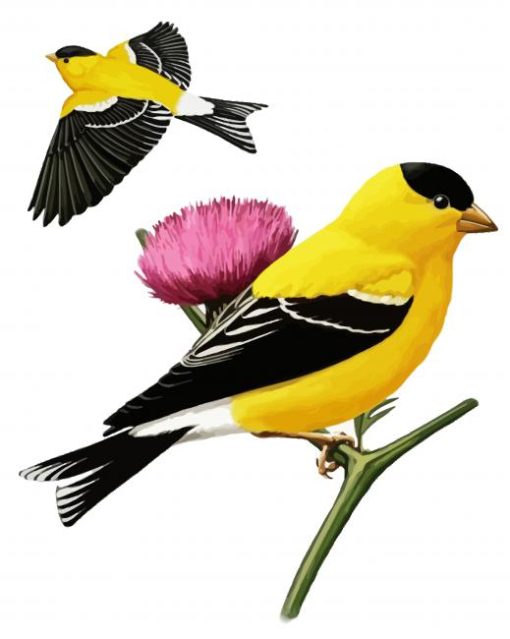 Yellow Finches Art paint by number