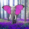 Elephant Butterfly paint by number
