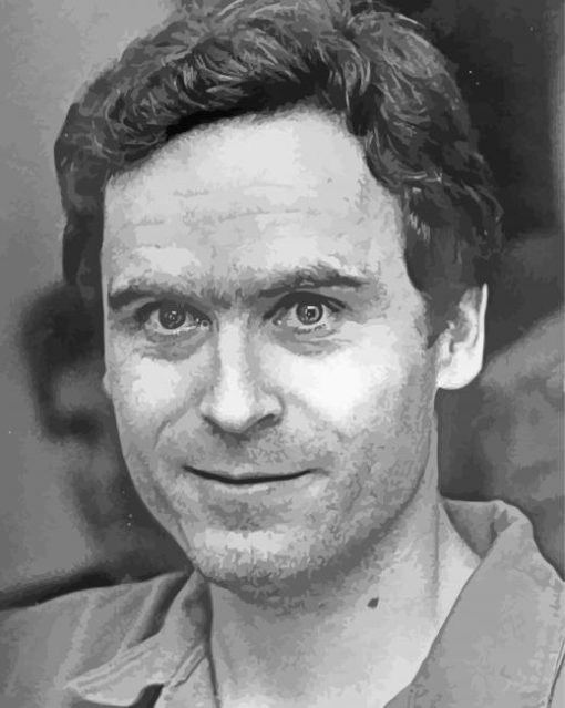 Aesthetic Ted Bundy paint by number