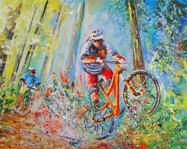 Mountain Bike paint by number