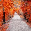 Aesthetic Walk In Autumn paint by number
