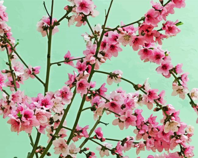 Beautiful Flowering Tree paint by number